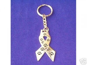 Rescue Ribbon Key Chain